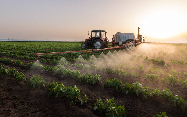 Bird Control in Mazon, IL