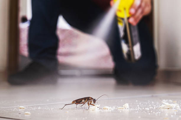 Professional Pest Control in Mazon, IL